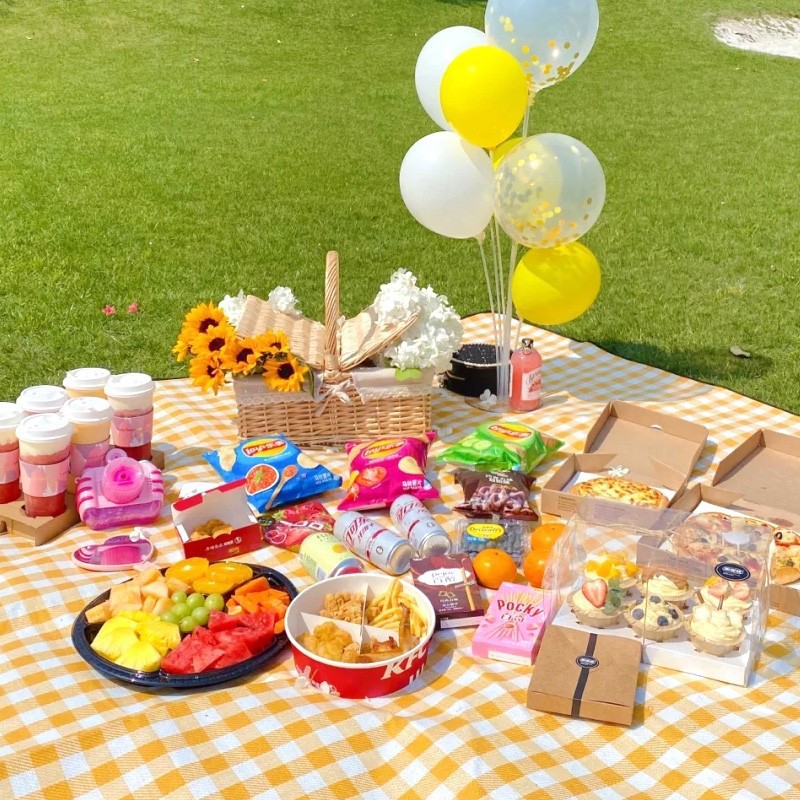 200x200cm Extra Large Picnic M - Outdoor Camping Mat 评论和价格
