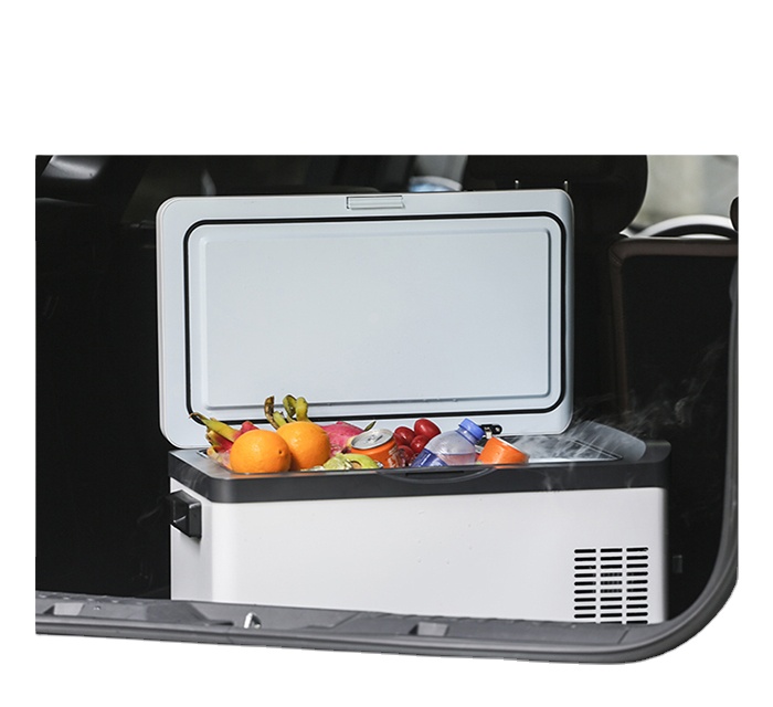 30 Liter 12V 240V Portable Cam - Outdoor Camping Fridge 评论和价格