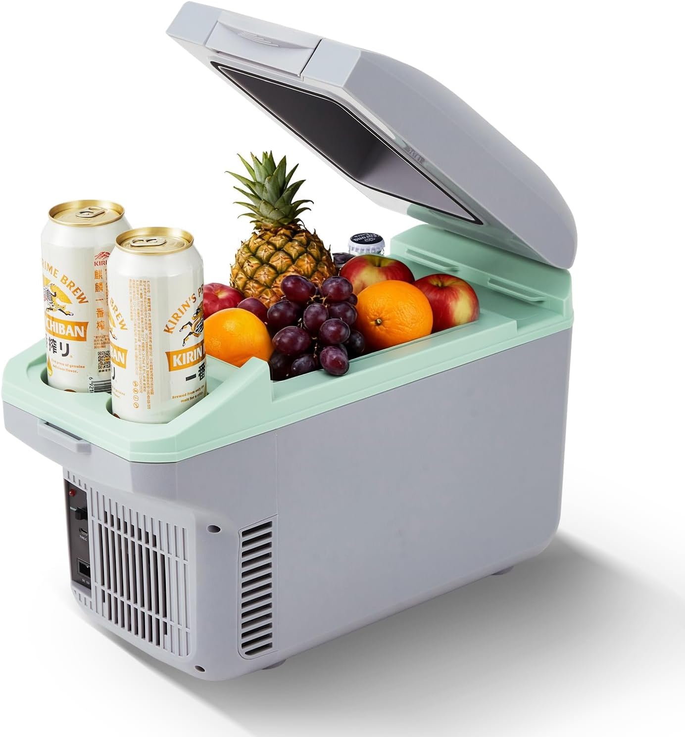 Tacleekii 8L Electric Car Refr - Outdoor Camping Fridge 评论和价格
