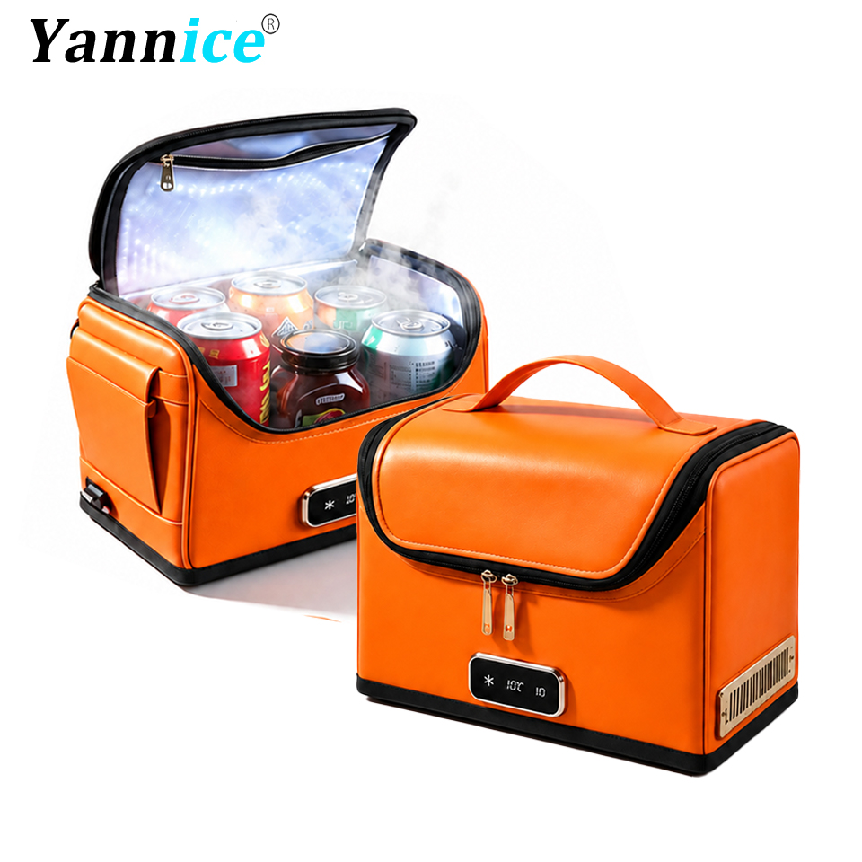 4L Car Refrigerator Mini Coole - Outdoor Camping Fridge 评论和价格