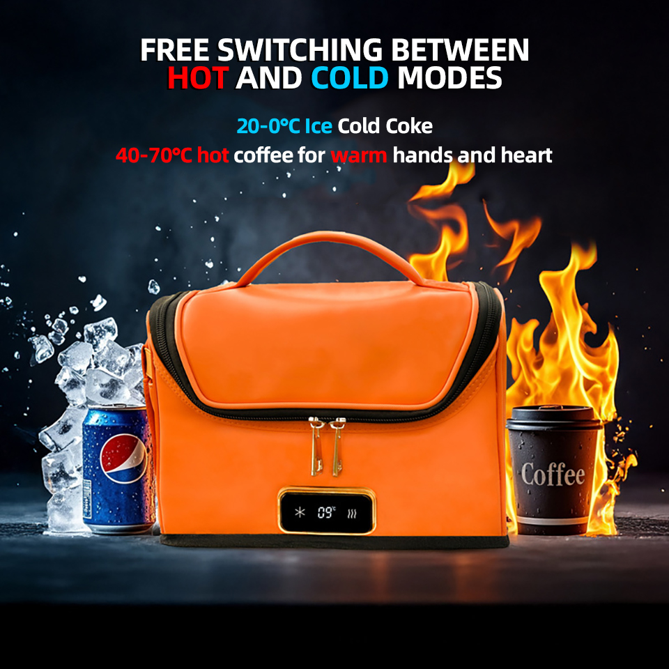 4L Car Refrigerator Mini Coole - Outdoor Camping Fridge 评论和价格