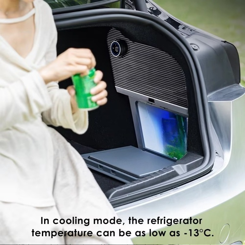 Outdoor Camping 10L Car Fridge - Outdoor Camping Fridge 评论和价格
